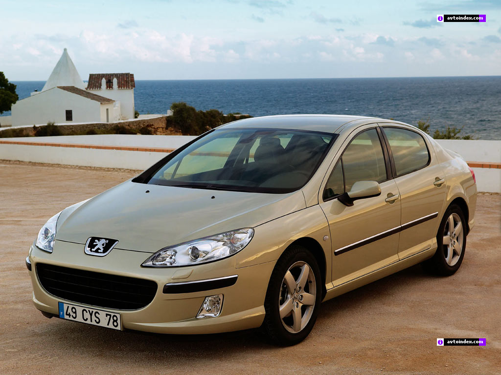 Peugeot 407 Т PEUGEOT 307 Bosch B3397007100: Peugeot 407.