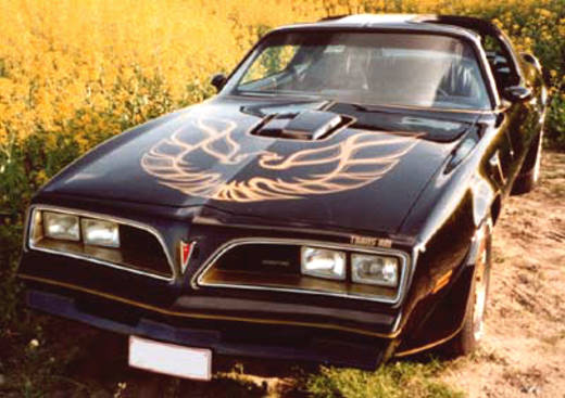 Pontiac Firebird Топ-10 Фирм по залогу авто: Pontiac Firebird. Pontiac. Скидки.