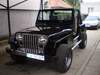 Renault Jeep Wragler