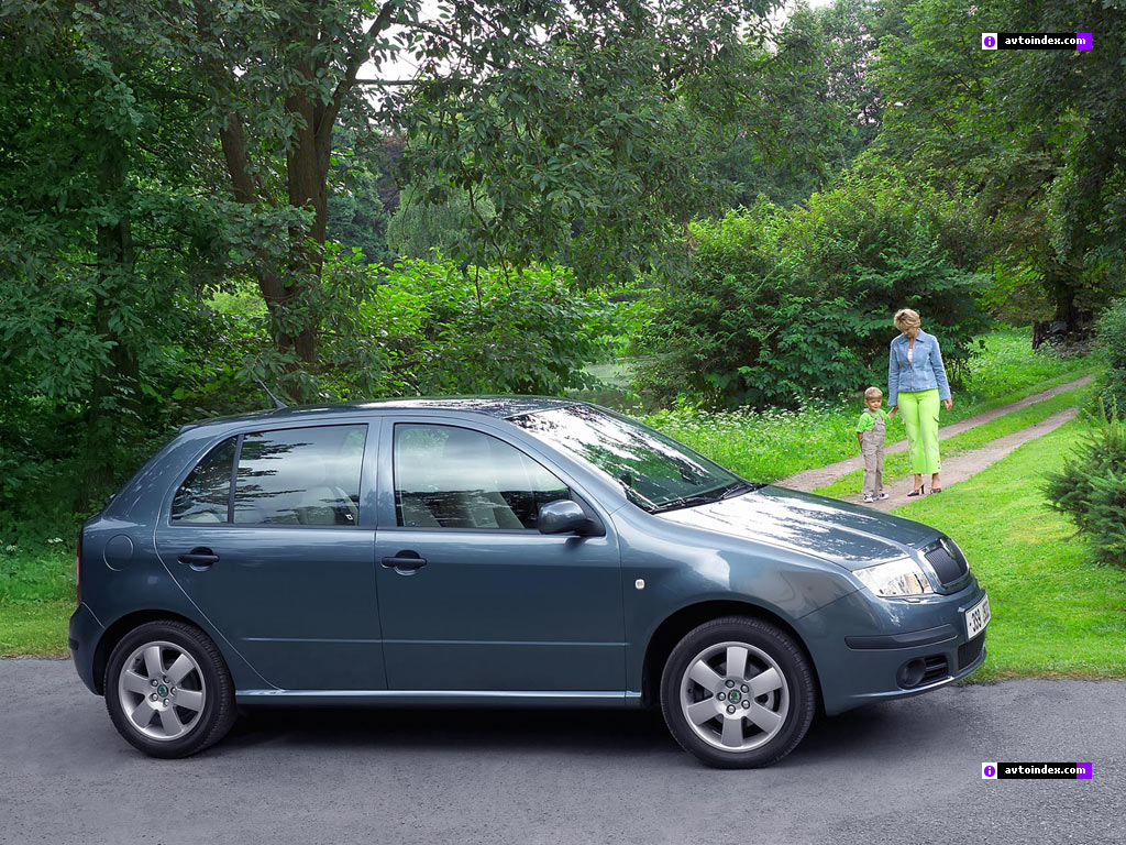 Skoda Fabia Выкуп Иномарок Джипов до 100 000: Skoda Fabia.